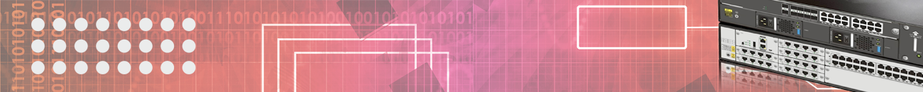 Маршрутизаторы QTECH | Построение корпоративных сетей передачи данных